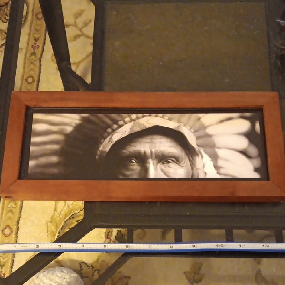 CHIEF JOSEPH FRAMED PICTURE